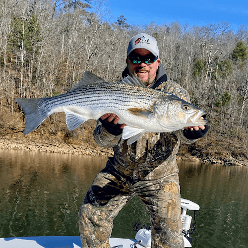Mad Gillz Fishing Guide Lake Lanier - Mad Gillz Fishing Guide Lake Lanier