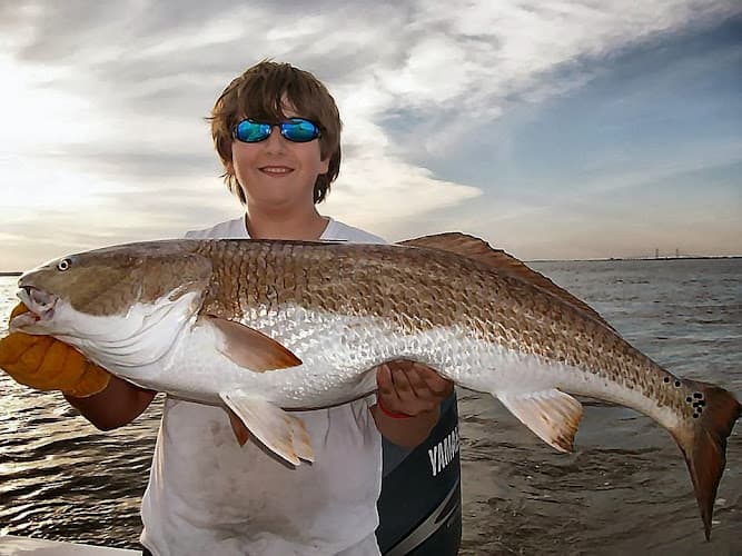 Georgia Sport Fishing Charters - Georgia Sport Fishing Charters