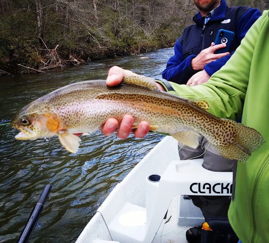 Toccoa River Anglers LLC - Toccoa River Anglers LLC