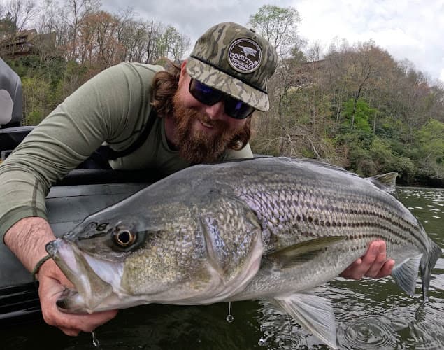 Cohutta Fishing Company - Cohutta Fishing Company