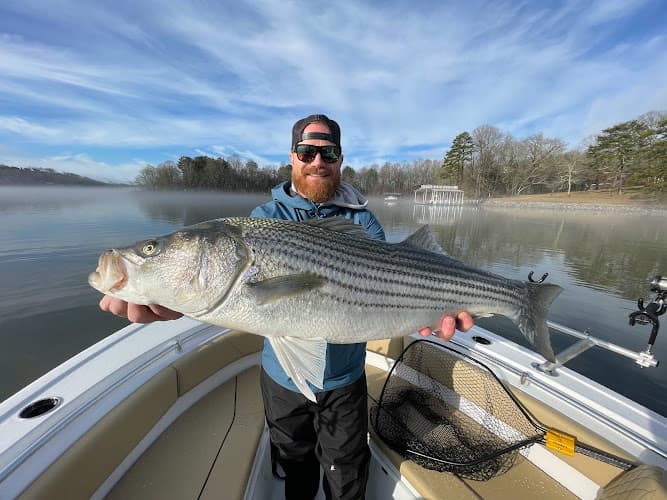 Big Bite Charters - Lake Lanier Fishing Guide - Big Bite Charters - Lake Lanier Fishing Guide