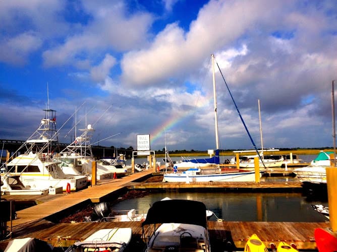 Bull River Marina - Private Charters, Fishing Charters, Bait Shop, Eco and Dolphin Tours - Bull River Marina - Private Charters, Fishing Charters, Bait Shop, Eco and Dolphin Tours