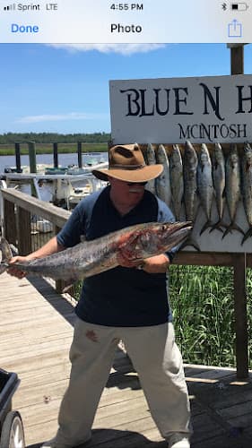 Reel Busy shark charter - Reel Busy shark charter