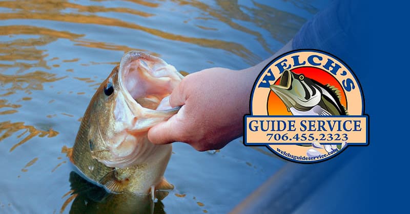 Highly Rated North Georgia Fishing Guide: Welch's Guide Service - Highly Rated North Georgia Fishing Guide: Welch's Guide Service