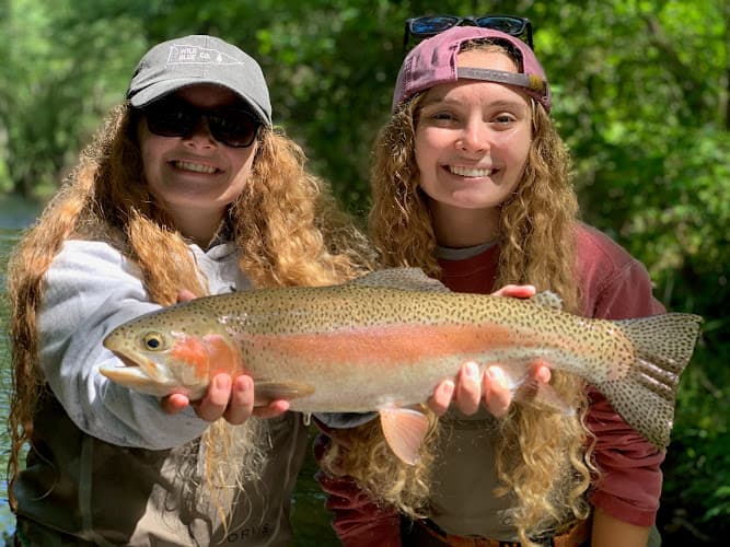 Noontootla Creek Farms - Noontootla Creek Farms