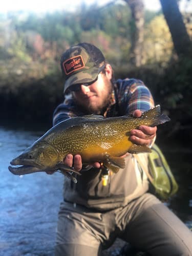 fly fish blue ridge - fly fish blue ridge