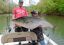 Jeff Blair Striper Guides